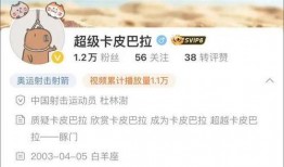 卡哥最新爆料视频大全下载,揭秘幕后真相，带你领略精彩瞬间