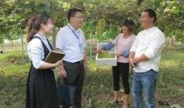 泗阳最新爆料新闻视频,视频揭露惊人真相，引网友热议！