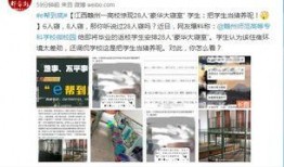 赣州高校爆料案件最新消息,真相渐明，校园安全再引关注