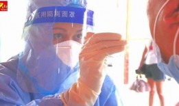 肖战杨紫最新圈内爆料是哪一期