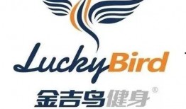 金吉鸟最新爆料视频,揭秘神秘视频背后的惊人真相！