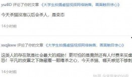 网络视频最新爆料大全,热点事件一网打尽