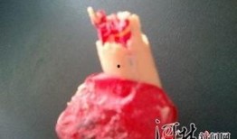 双汇王中王最新爆料,揭秘行业巨头背后的惊人内幕