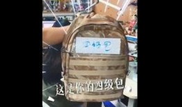 和平精英小姐姐四级包最新爆料,炫酷外观与强大性能一应俱全