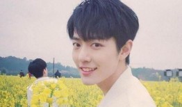 最新大爆料杨紫肖战