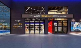 金吉鸟最新爆料视频,揭秘神秘视频背后的惊人真相！