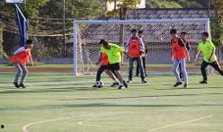 清姜路中学最新爆料,揭秘校园风云背后的真相！”